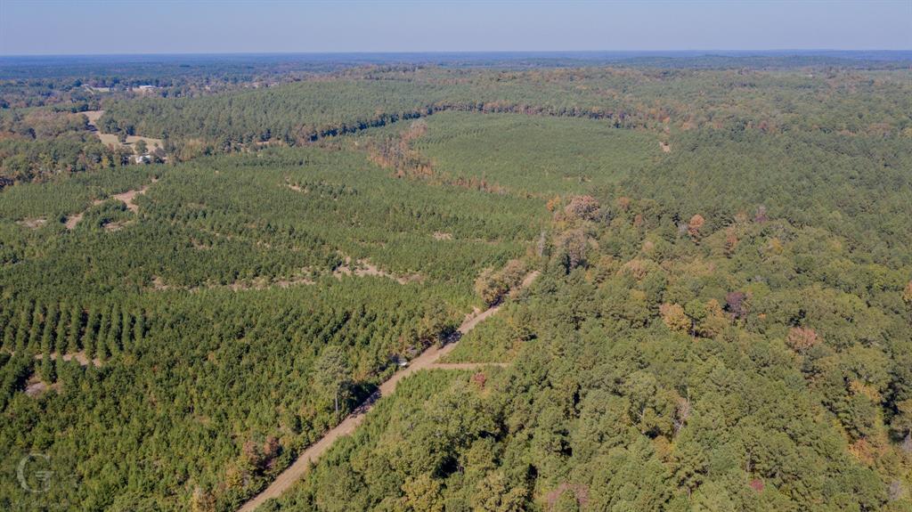 0 Hwy 159 Highway Property Photo 8