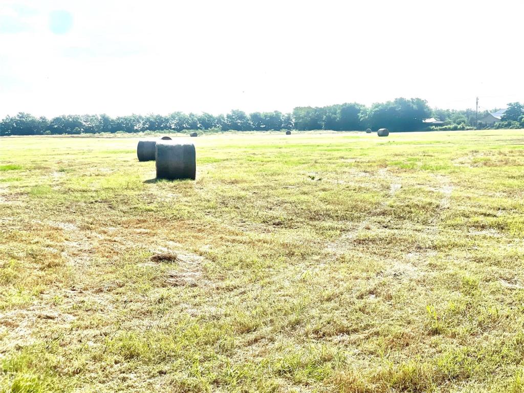 Tbd N Highway 171 Property Photo 4