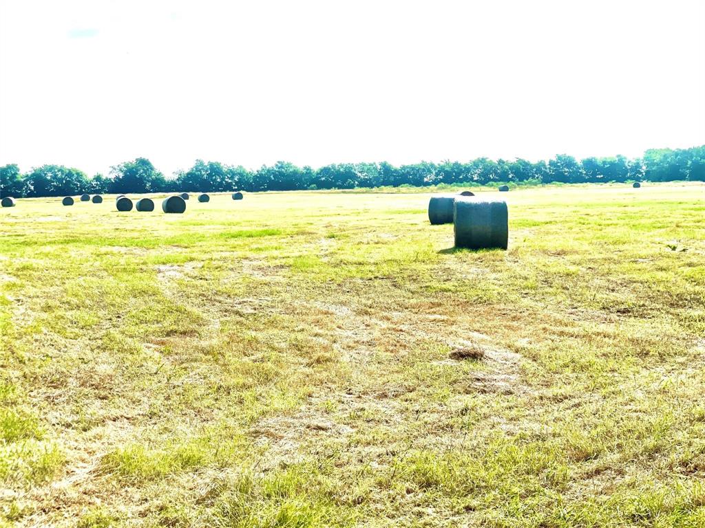 Tbd N Highway 171 Property Photo 5