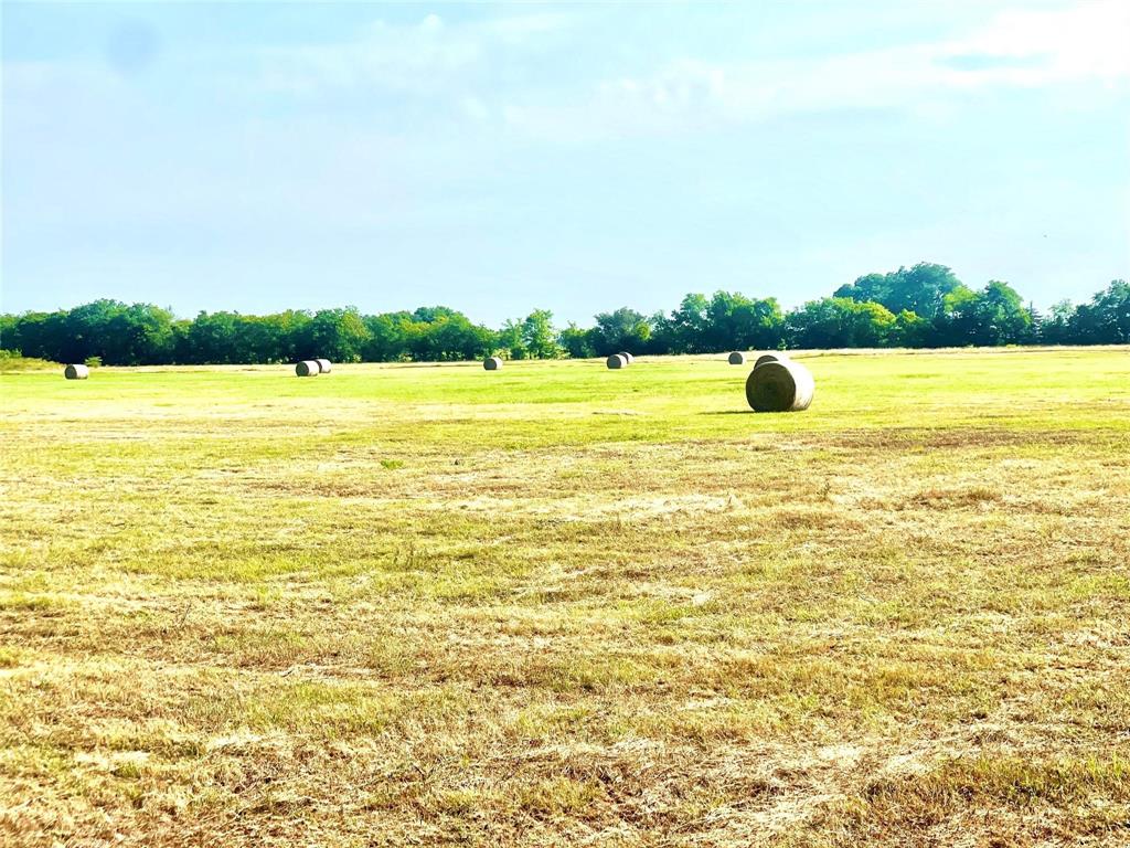 Tbd N Highway 171 Property Photo 14