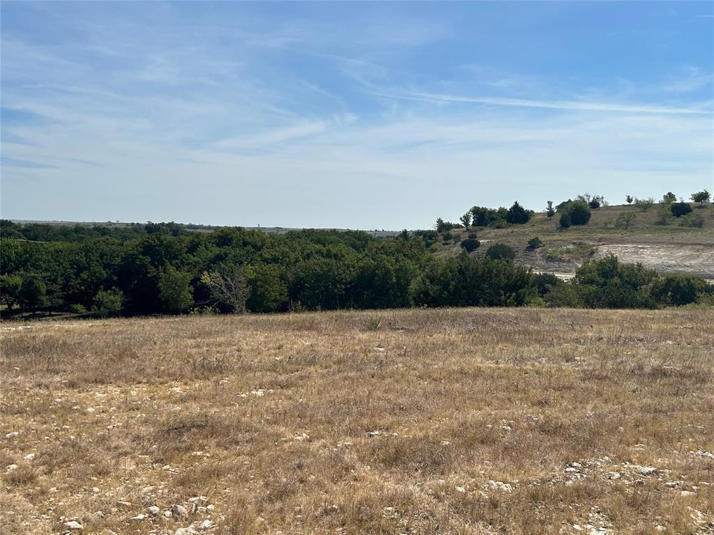 1013 Bear Creek Ranch Road Property Photo 5