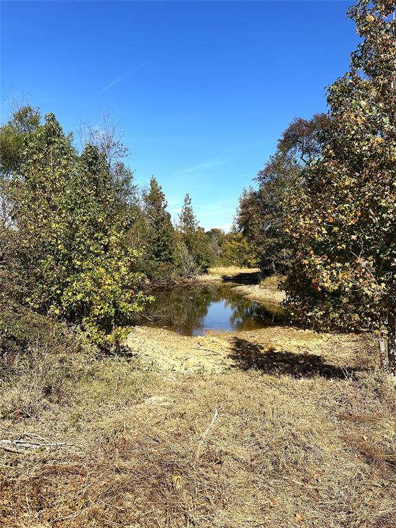 16200 N State Highway 19 Property Photo 2