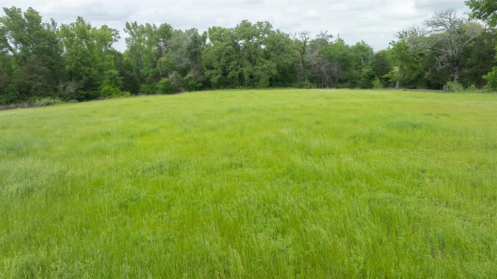 16200 N State Highway 19 Property Photo 16
