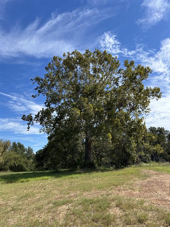 16200 N State Highway 19 Property Photo 17