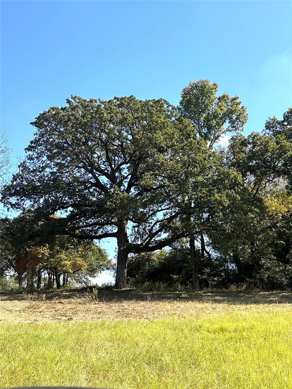 16200 N State Highway 19 Property Photo 18