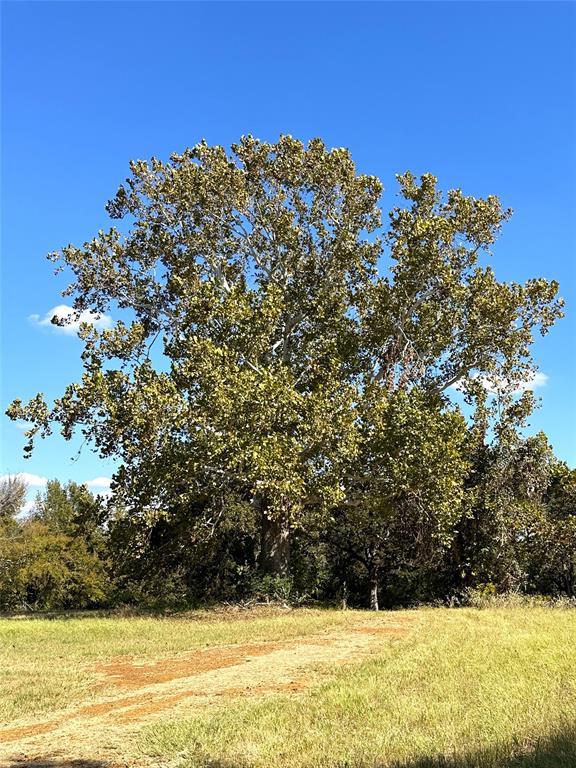 16200 N State Highway 19 Property Photo 19