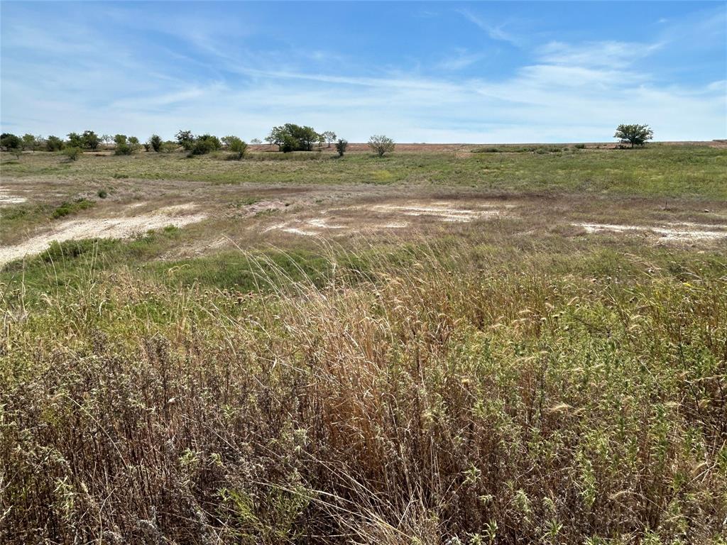 1029 Bear Creek Ranch Road Property Photo 4