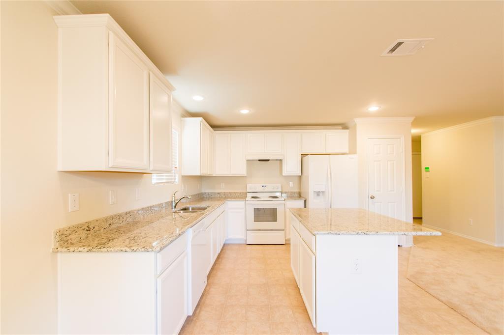 10032 Pyrite Drive Property Photo 6