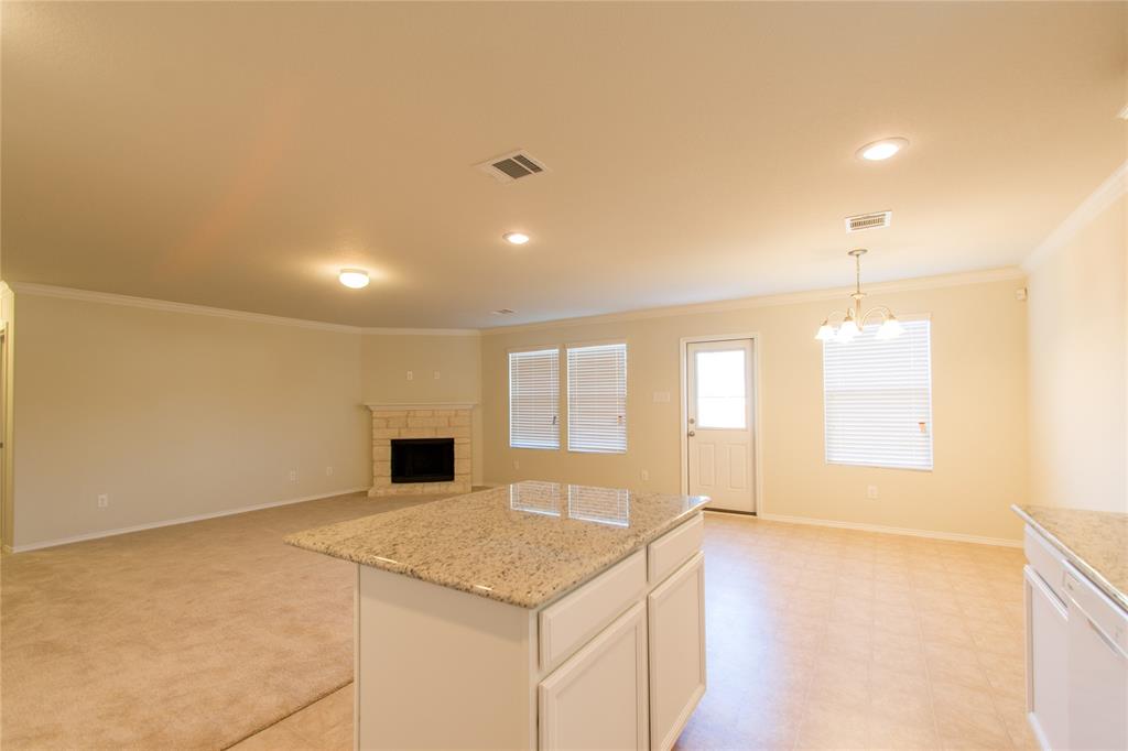 10032 Pyrite Drive Property Photo 7