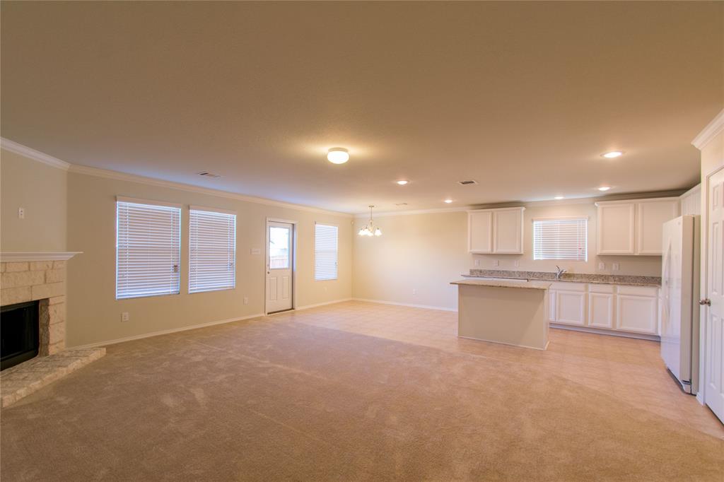 10032 Pyrite Drive Property Photo 11