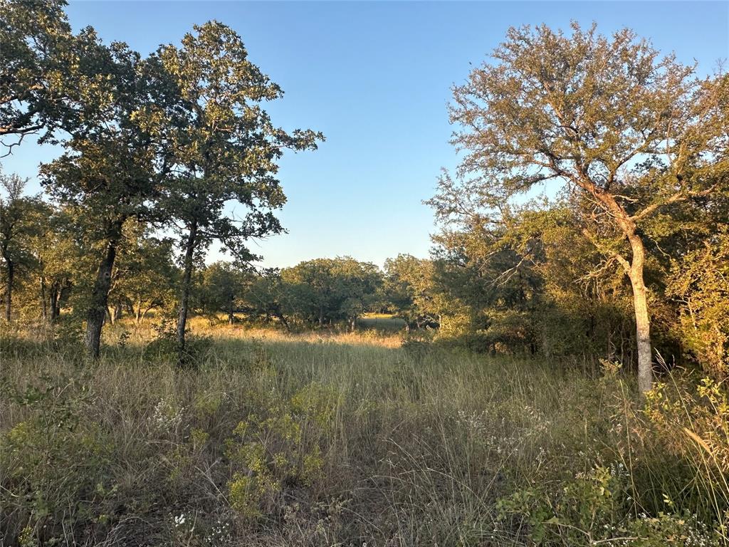 157 Paradise Oaks Court Property Photo 1