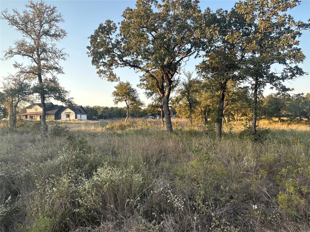 157 Paradise Oaks Court Property Photo 2