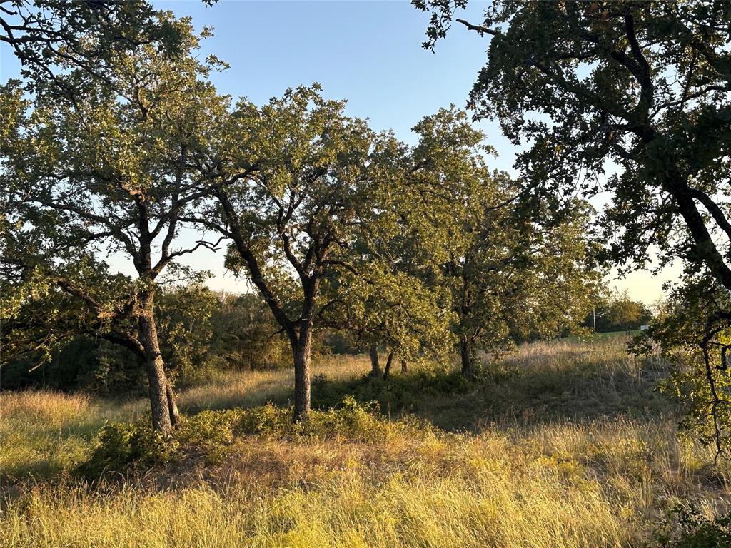 157 Paradise Oaks Court Property Photo 7