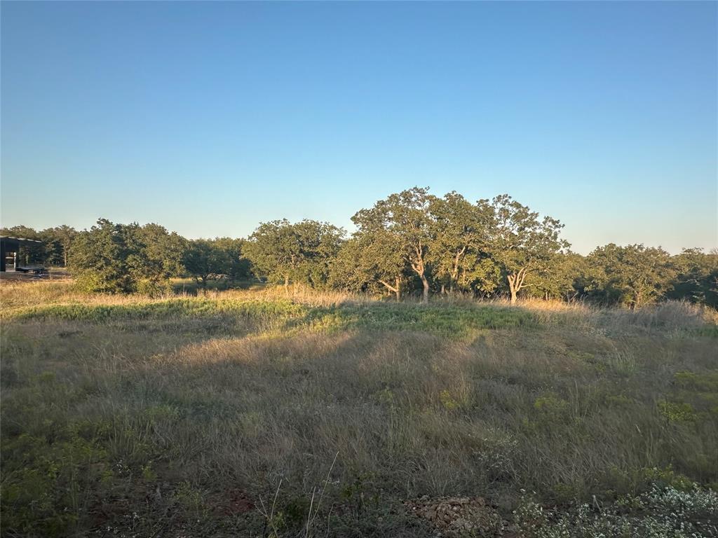 157 Paradise Oaks Court Property Photo 8