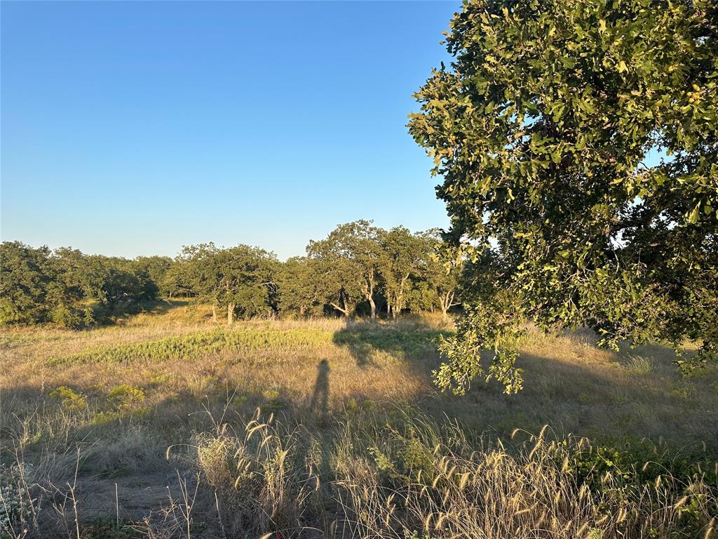157 Paradise Oaks Court Property Photo 9