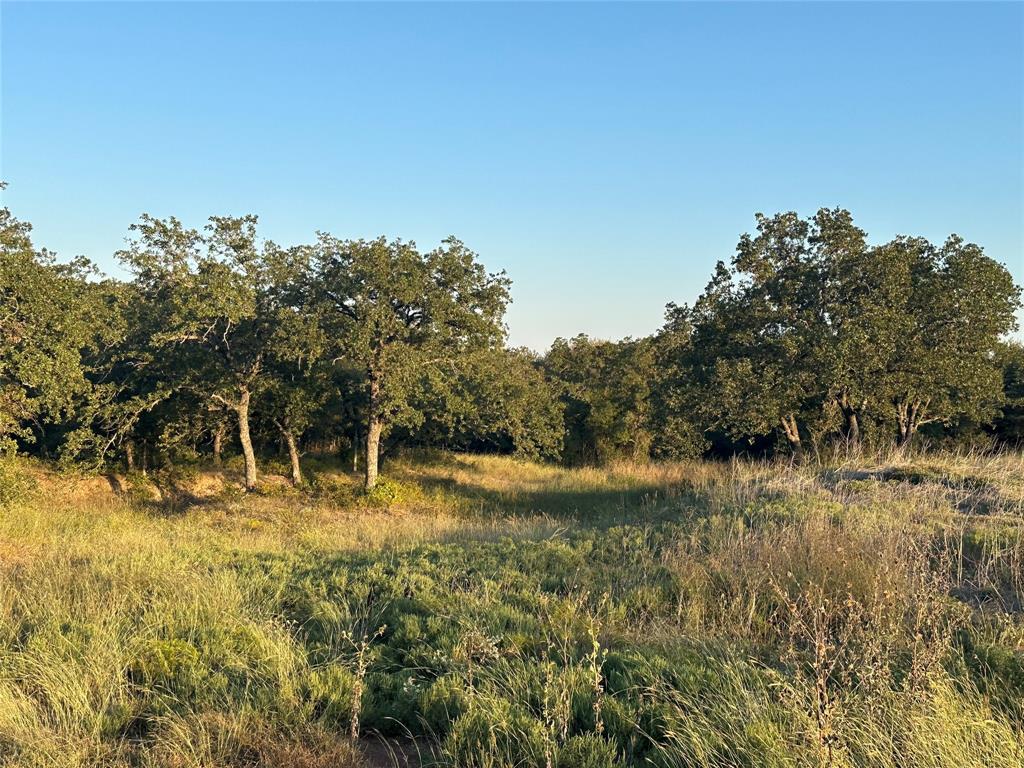 157 Paradise Oaks Court Property Photo 10