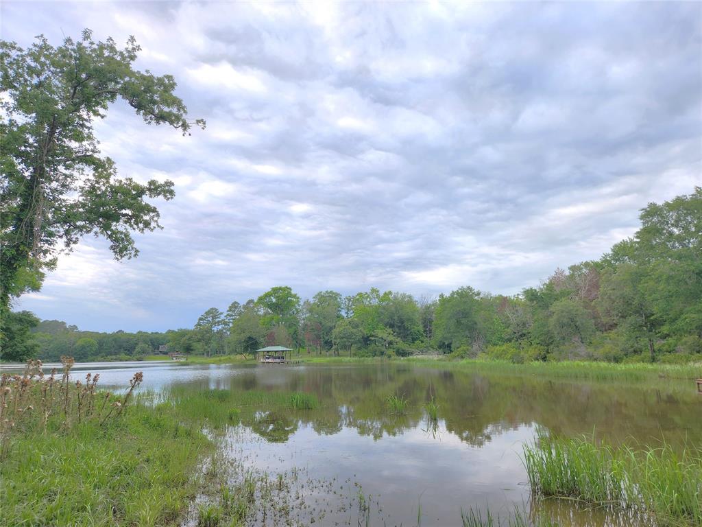 9042 Safari Bluff Property Photo 1