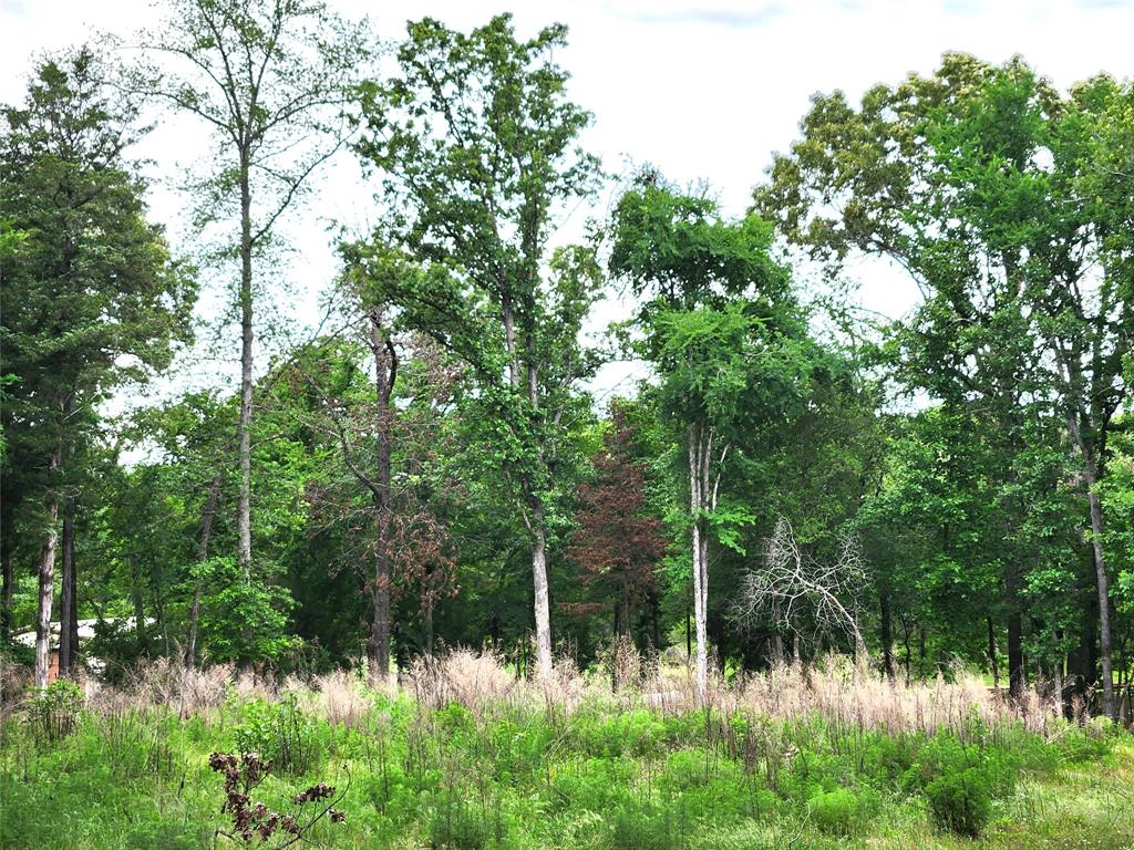 9042 Safari Bluff Property Photo 5