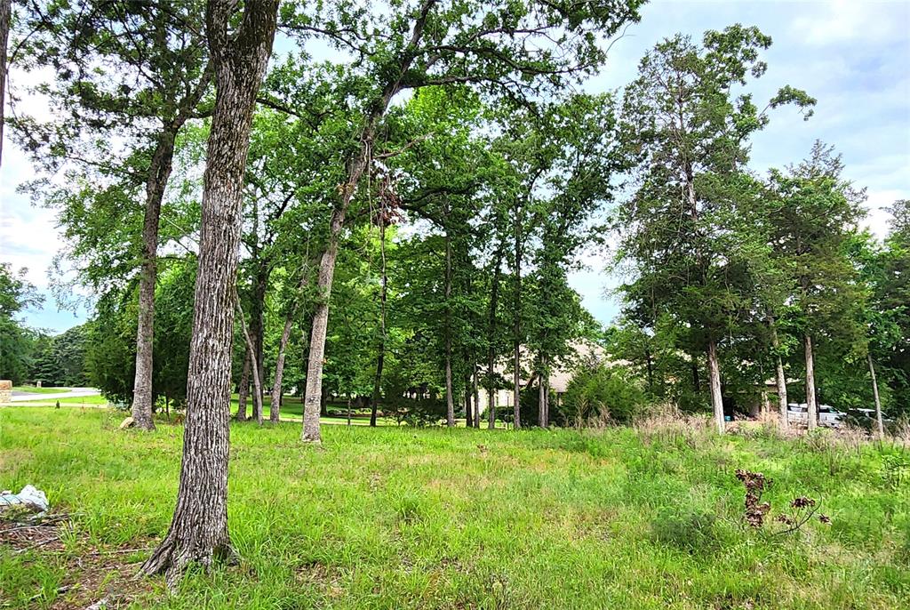 9042 Safari Bluff Property Photo 7