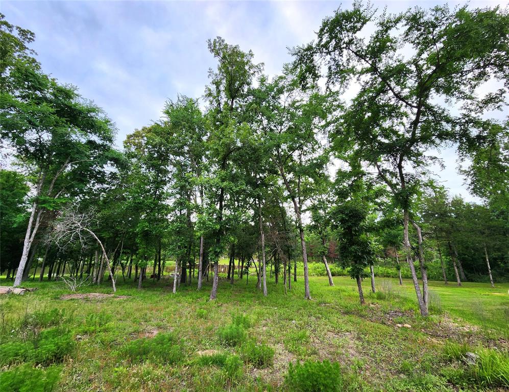 9042 Safari Bluff Property Photo 9