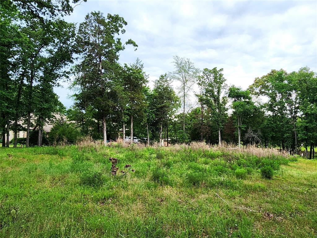 9042 Safari Bluff Property Photo 12