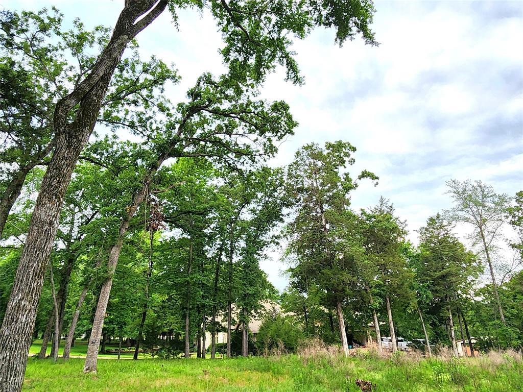 9042 Safari Bluff Property Photo 14