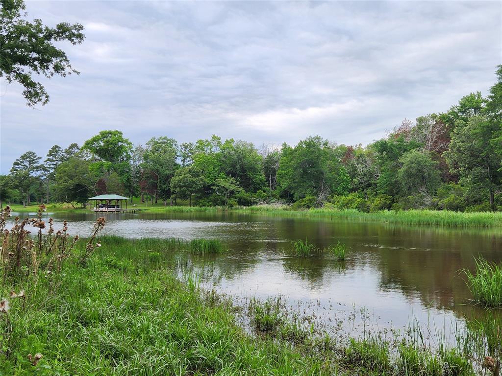 9042 Safari Bluff Property Photo 24