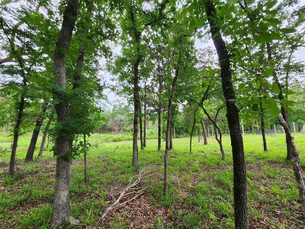 9042 Safari Bluff Property Photo 25