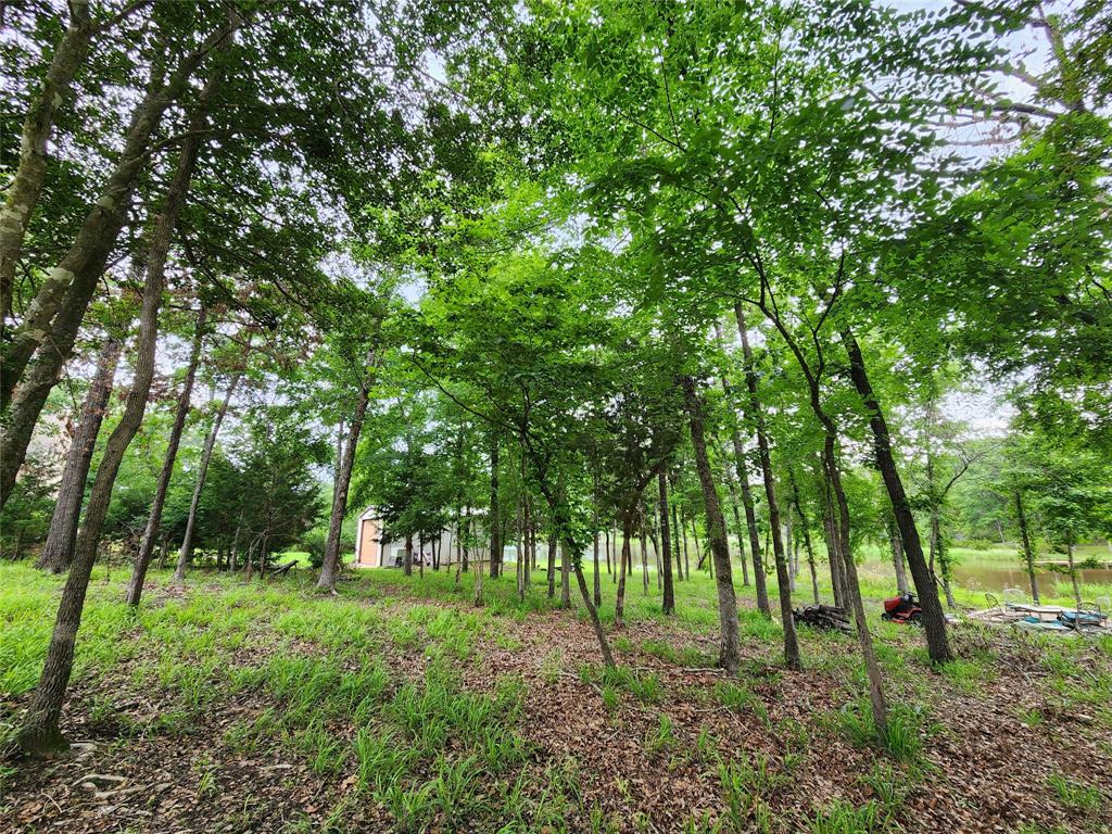 9042 Safari Bluff Property Photo 27