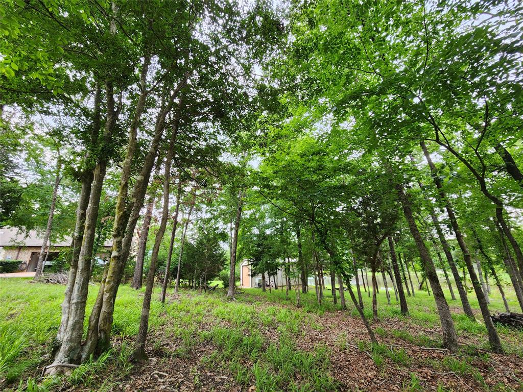 9042 Safari Bluff Property Photo 28