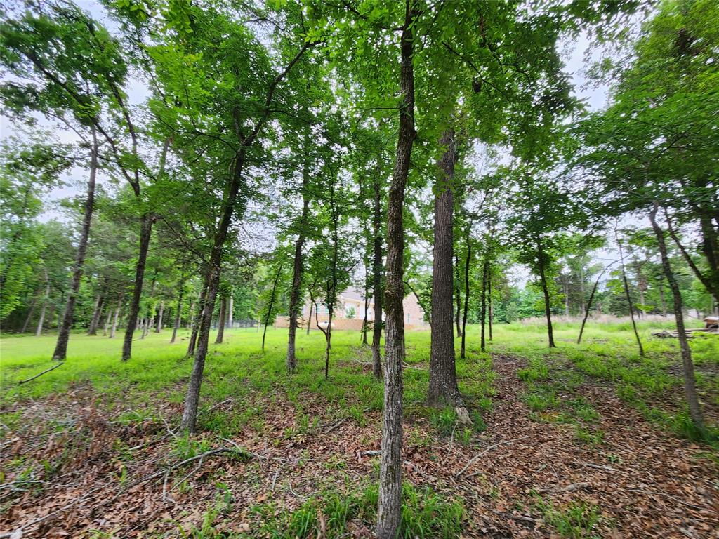 9042 Safari Bluff Property Photo 30