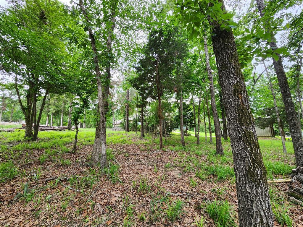 9042 Safari Bluff Property Photo 32