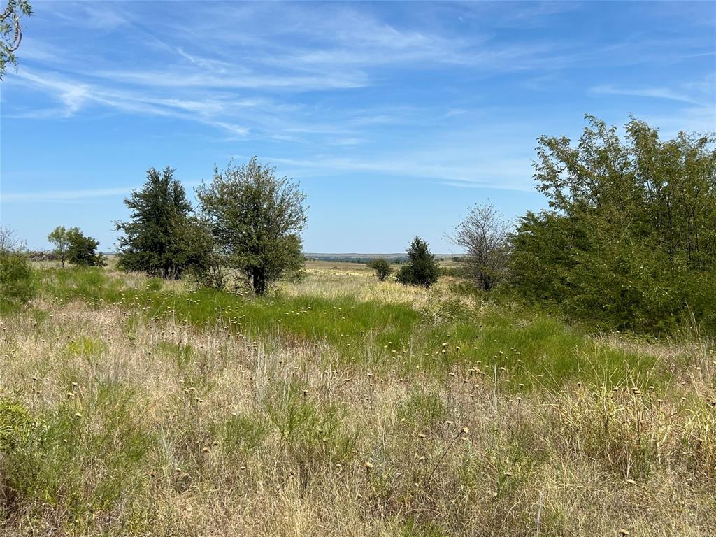 4041 Mirielle Drive Property Photo 1