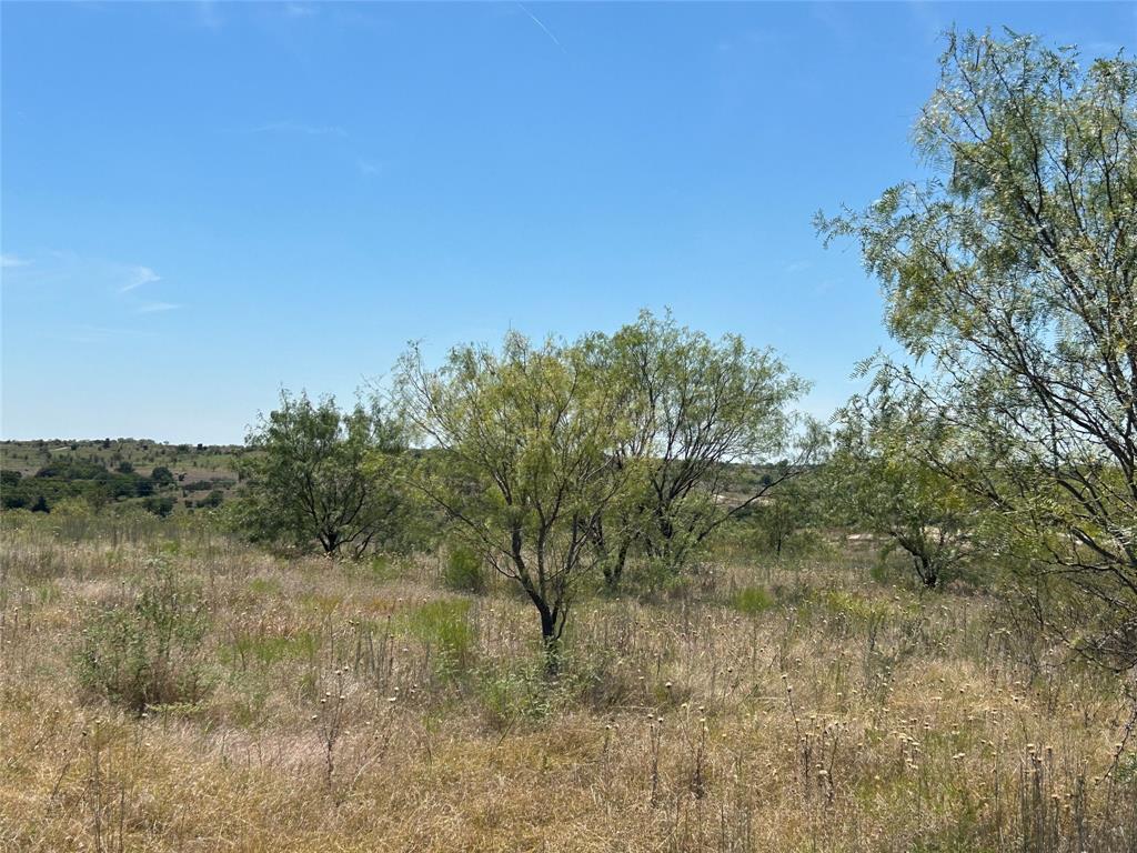 4041 Mirielle Drive Property Photo 15