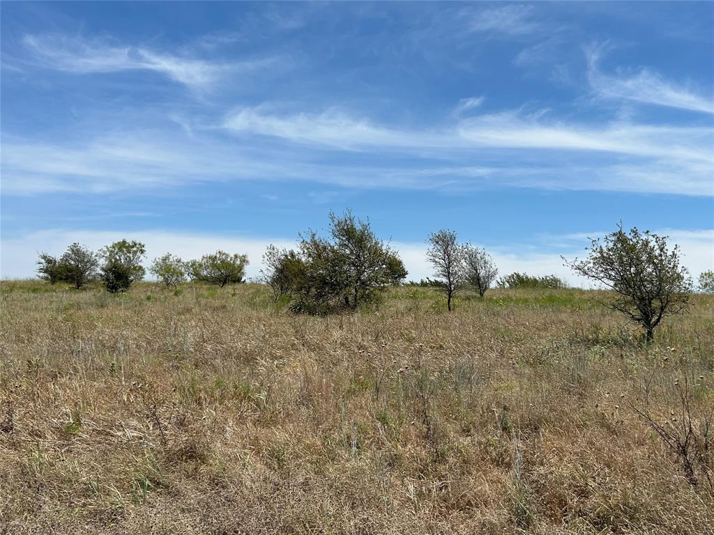 4031 Mirielle Drive Property Photo 5