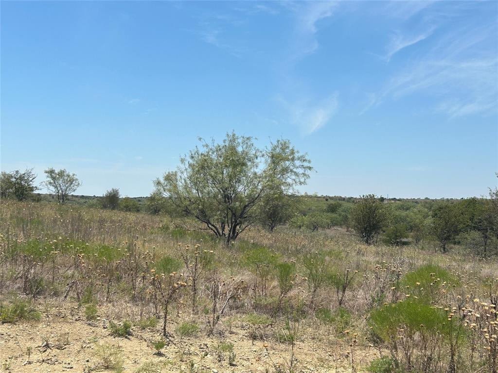 4031 Mirielle Drive Property Photo 12