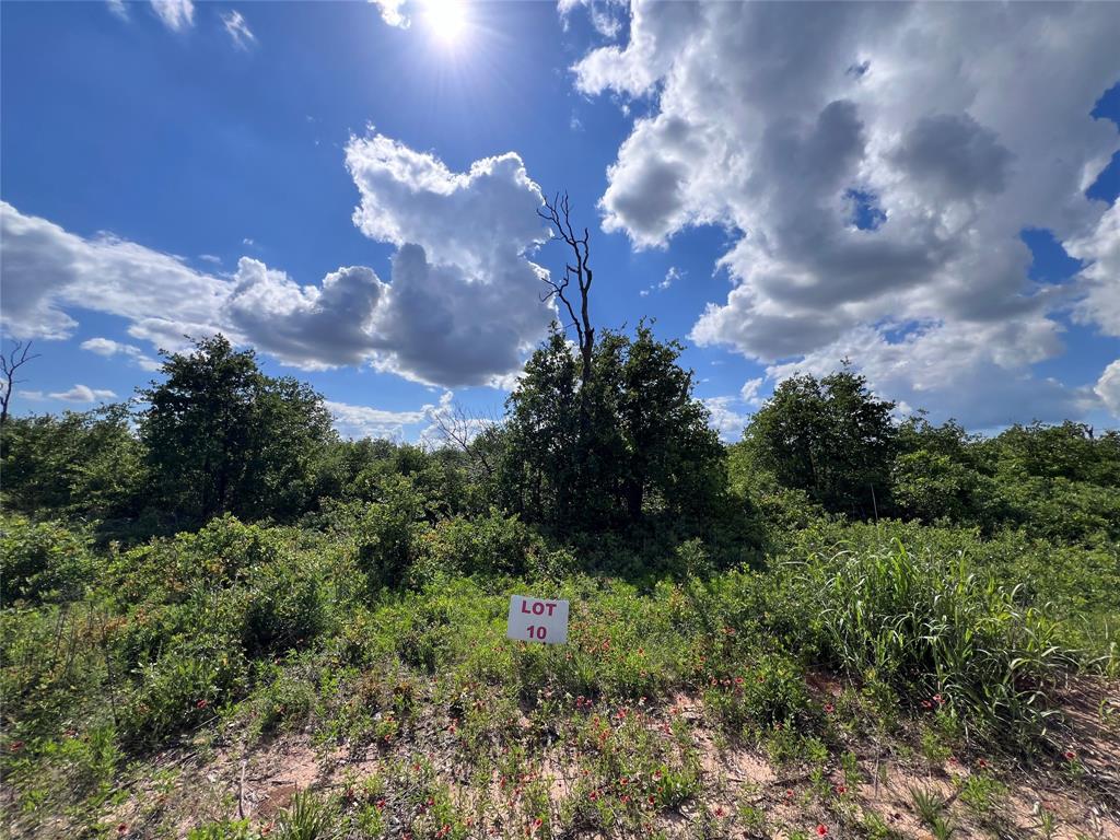Tbd Lot 10 Live Oak Trail Property Photo 1
