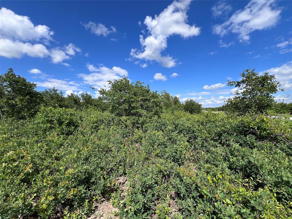 Tbd Lot 10 Live Oak Trail Property Photo 11