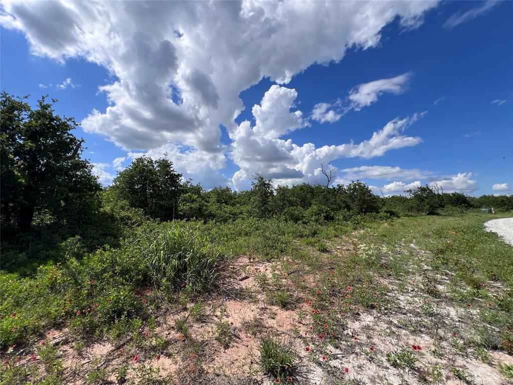Tbd Lot 10 Live Oak Trail Property Photo 12