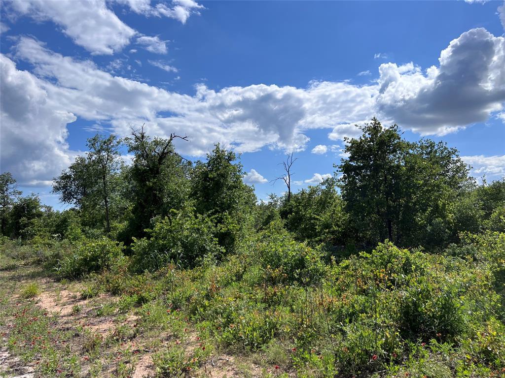 Tbd Lot 10 Live Oak Trail Property Photo 13