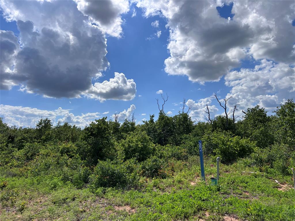 Tbd Lot 10 Live Oak Trail Property Photo 14