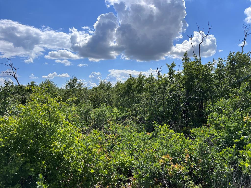 Tbd Lot 10 Live Oak Trail Property Photo 15