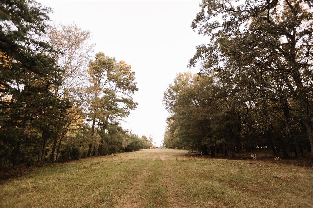 8235 Fm 227 Property Photo 21