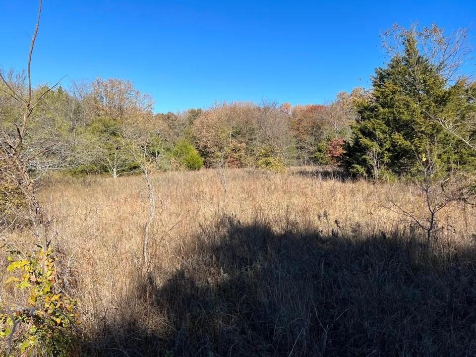 Tbd Cr-2117 Property Photo 1