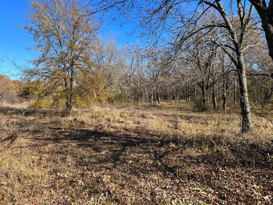 Tbd Cr-2117 Property Photo 2