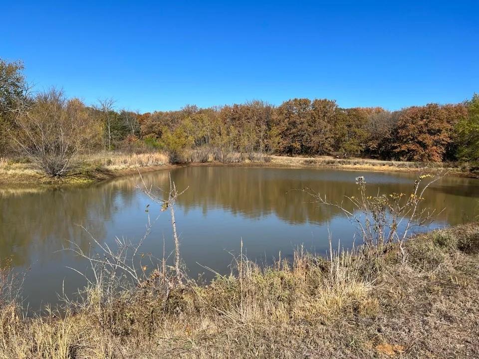 Tbd Cr-2117 Property Photo 4