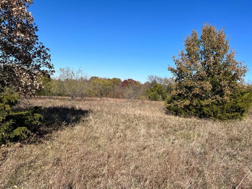 Tbd Cr-2117 Property Photo 5