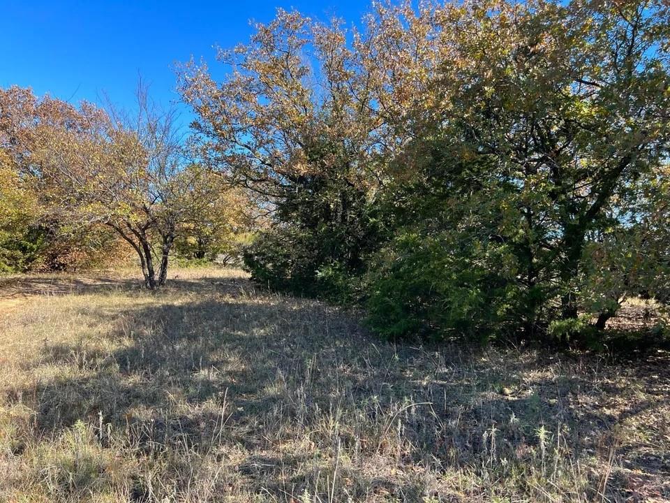 Tbd Cr-2117 Property Photo 6