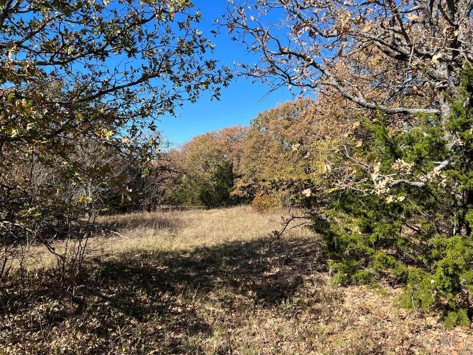 Tbd Cr-2117 Property Photo 7