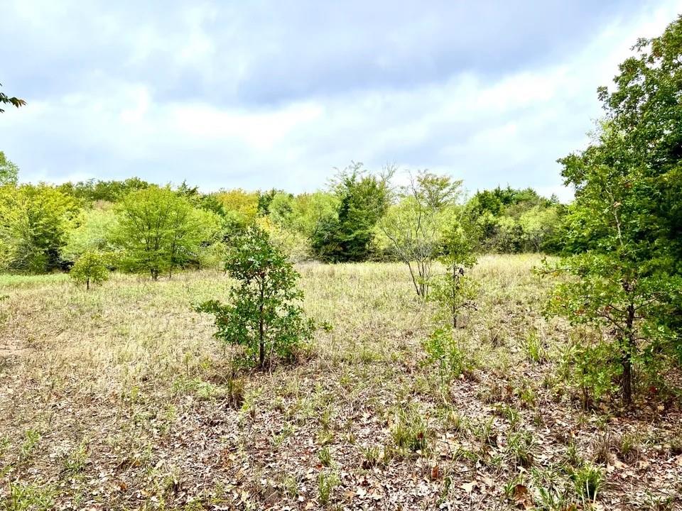 Tbd Cr-2117 Property Photo 13